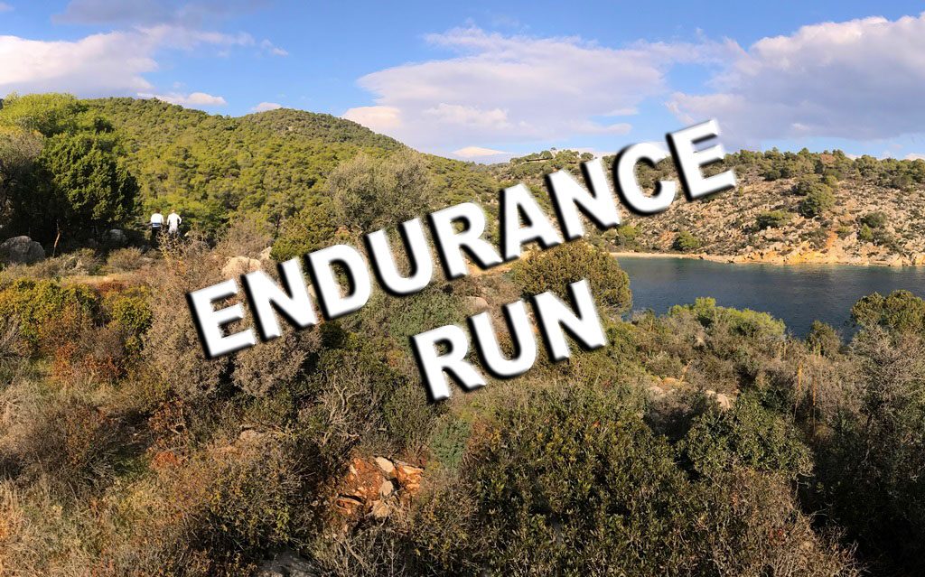 Τα τελευταία νέα όσον αφορά την διεξαγωγή του Epidavros Action Triathlon έχουν να κάνουν με την διάνοιξη του endurance trail